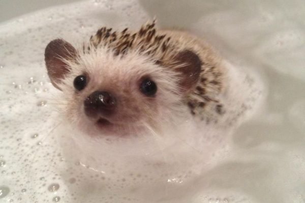 _ - 2025-12-27T103850.400