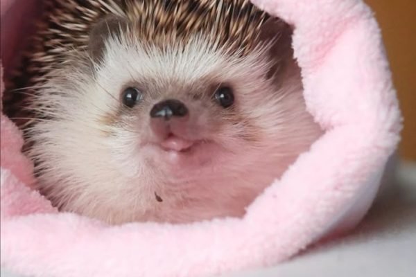 _ - 2025-12-27T104926.610