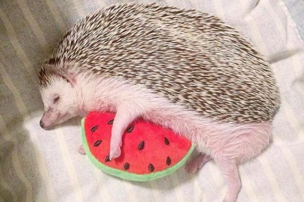 _ - 2025-12-27T111128.006