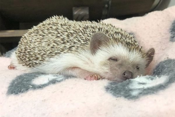 _ - 2025-12-28T142114.409