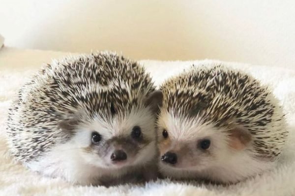 _ - 2025-12-28T160347.034