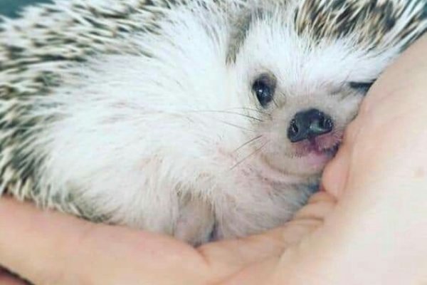 _ - 2025-12-28T160352.758