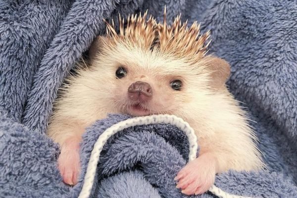 _ - 2025-12-28T161226.476