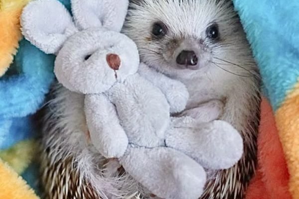 _ - 2025-12-28T162113.392