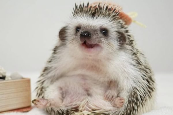 _ - 2025-12-28T163956.307