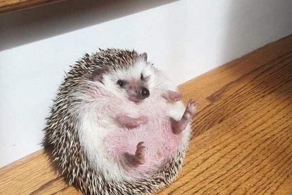 _ - 2025-12-28T163959.914