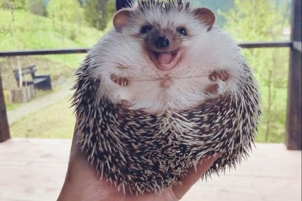 _ - 2025-12-29T121719.250