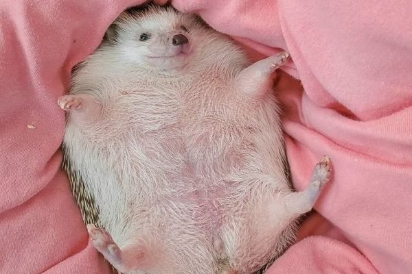 _ - 2025-12-29T121720.959