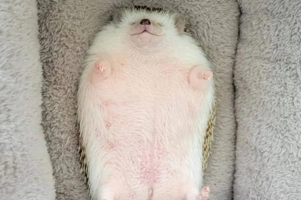 _ - 2025-12-29T122407.038