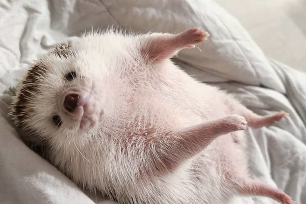 _ - 2025-12-29T125946.820