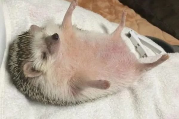 _ - 2025-12-29T125949.282