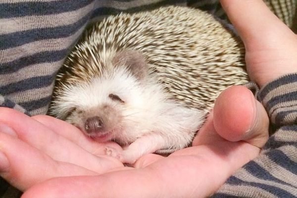 _ - 2025-12-29T131521.078