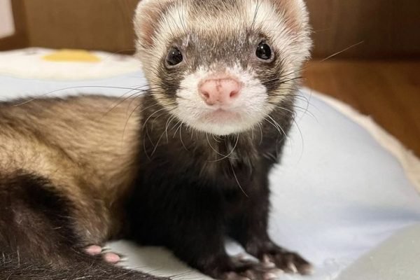 _ - 2025-12-31T210619.670