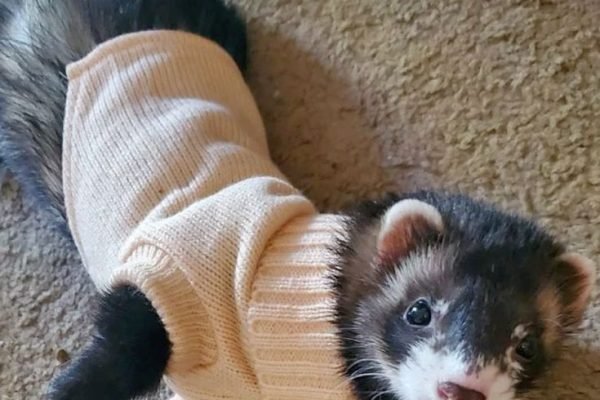 _ - 2025-12-31T210623.108