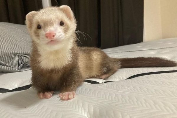 _ - 2025-12-31T210827.855