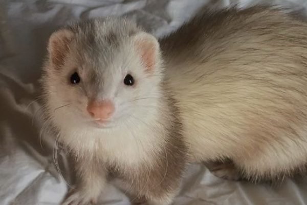 _ - 2025-12-31T212130.074