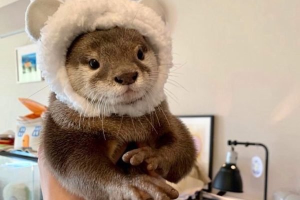 _ - 2025-12-31T224117.385