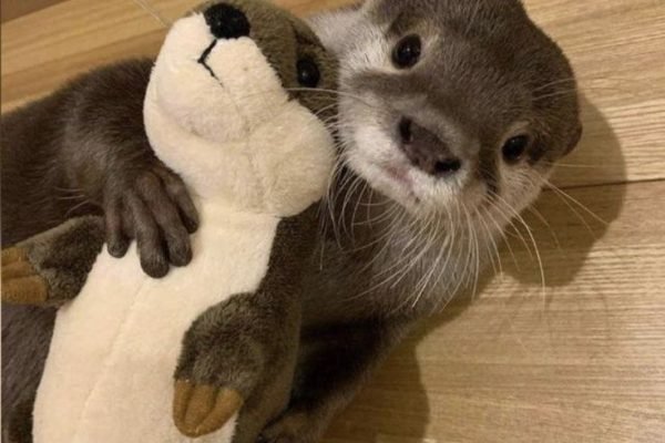 _ - 2025-12-31T224138.137