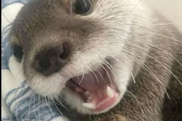 _ - 2025-12-31T224939.869