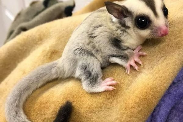 _ - 2026-01-01T103529.337