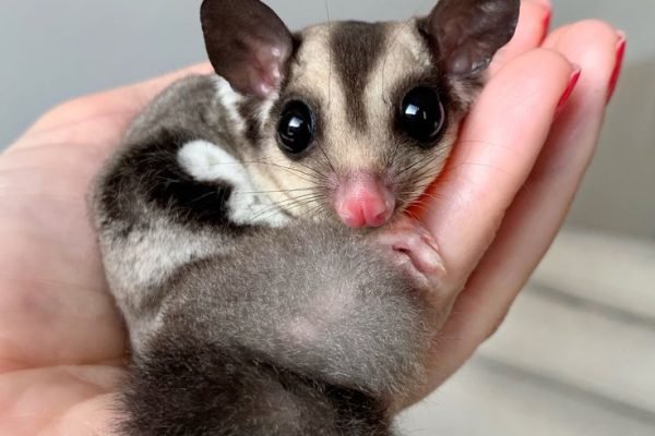 _ - 2026-01-01T103532.282