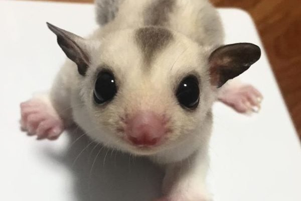 _ - 2026-01-01T103757.282