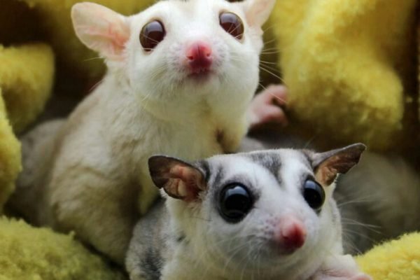 _ - 2026-01-01T105829.101