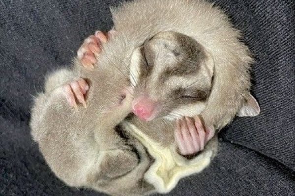 _ - 2026-01-01T111001.647