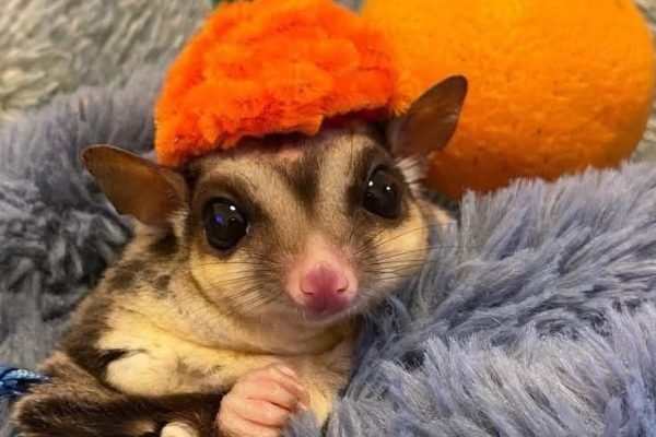 _ - 2026-01-01T112509.527