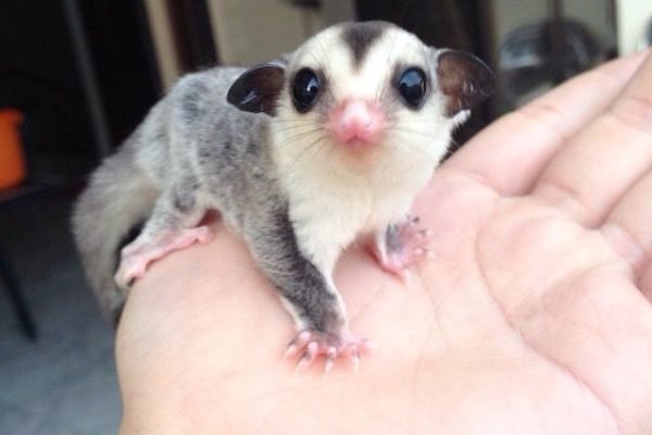 _ - 2026-01-02T123645.069