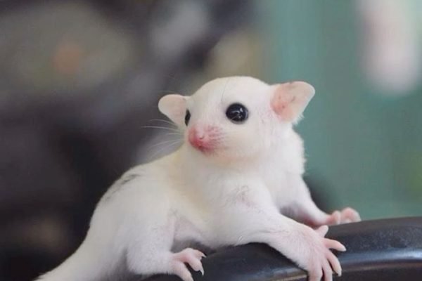 _ - 2026-01-02T123652.946