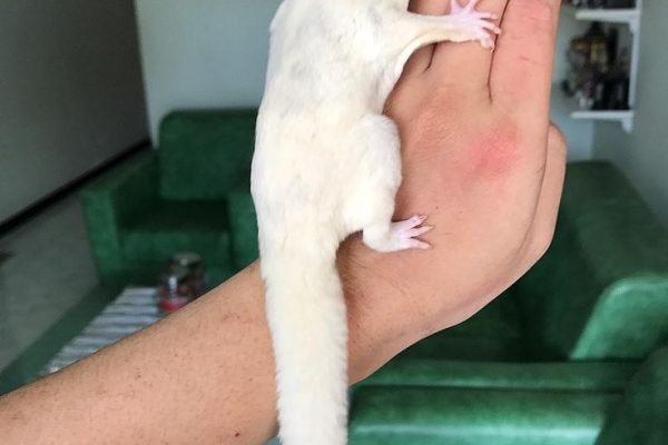 _ - 2026-01-02T131212.343