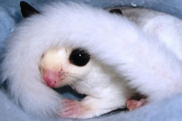 _ - 2026-01-02T132317.490