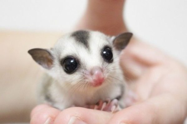 _ - 2026-01-02T132322.805