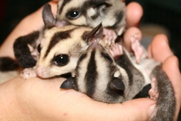 _ - 2026-01-03T142009.265