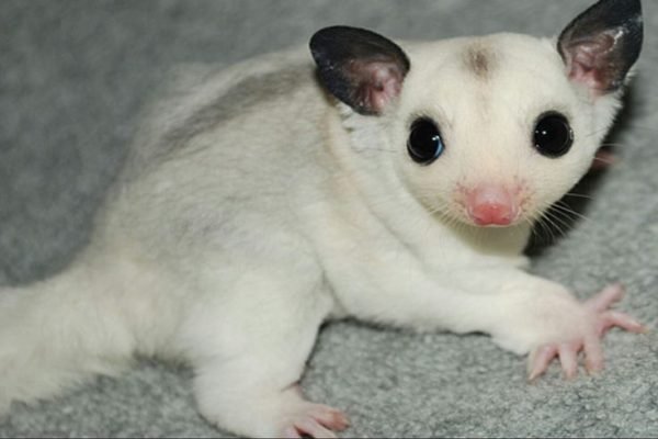 _ - 2026-01-04T101603.505