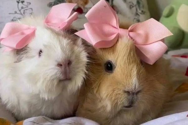 _ - 2026-02-01T100838.561