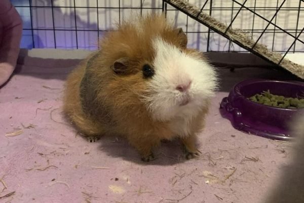 _ - 2026-02-01T103617.834