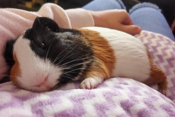 _ - 2026-02-01T105027.969