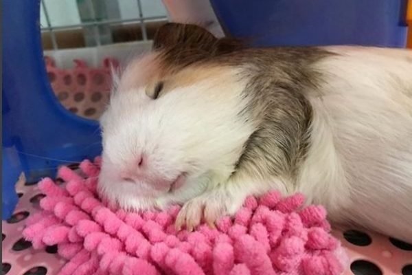 _ - 2026-02-01T110840.827