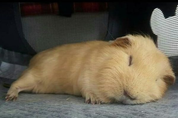 _ - 2026-02-01T110845.323