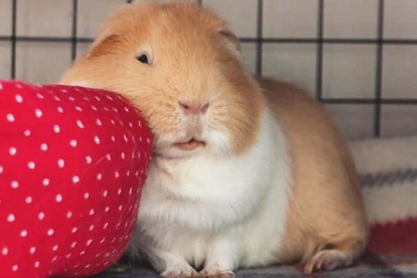 _ - 2026-02-02T222336.100