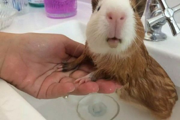 _ - 2026-02-02T224248.713