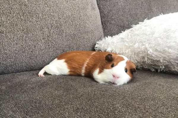 _ - 2026-03-02T224643.170