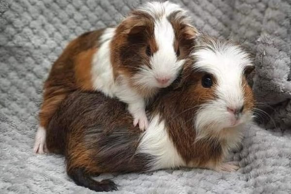 _ - 2026-03-02T232037.437