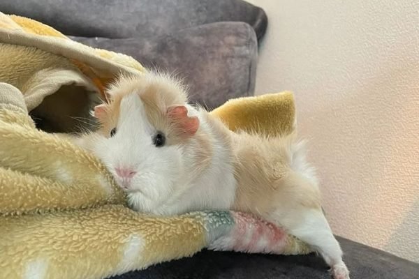 _ - 2026-03-02T233553.238