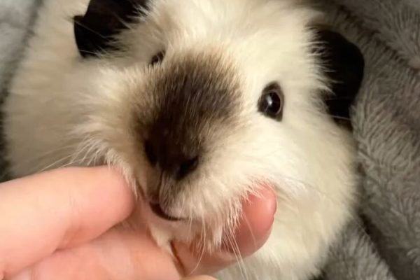 _ - 2026-03-02T234635.737