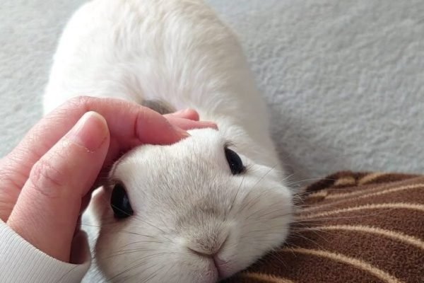 Awwwww Awwwww