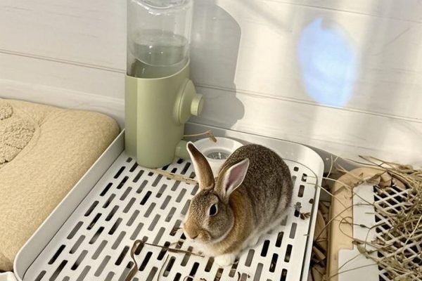 Caja de arena para conejos, bandeja de inodoro pequeña para mascotas, caja de inodoro de esquina