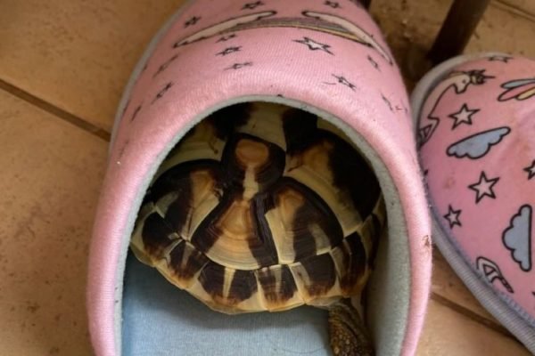 Hiding spot